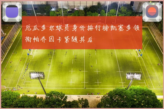 厄瓜多尔球员身价排行榜凯塞多领衔帕乔因卡紧随其后