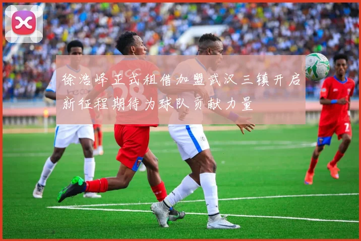 徐浩峰正式租借加盟武汉三镇开启新征程期待为球队贡献力量