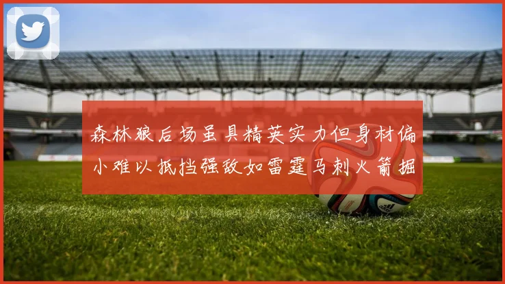 森林狼后场虽具精英实力但身材偏小难以抵挡强敌如雷霆马刺火箭掘金